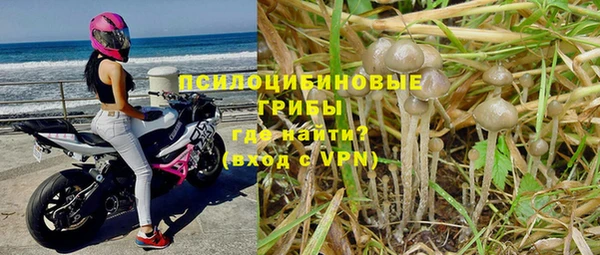 стафф Карпинск