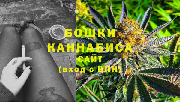 прущий лед Касимов