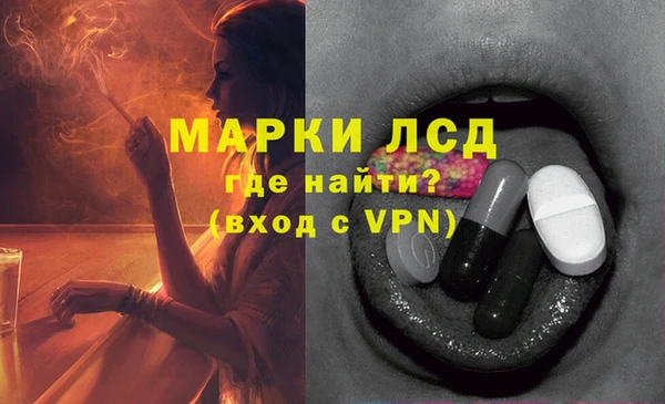 стафф Карпинск