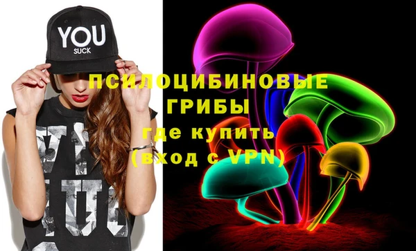 крисы Нижневартовск