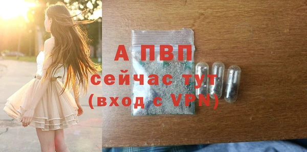 стафф Карпинск