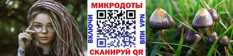 где продают наркотики  Сусуман  дарк нет какой сайт  Галлюциногенные грибы мицелий 